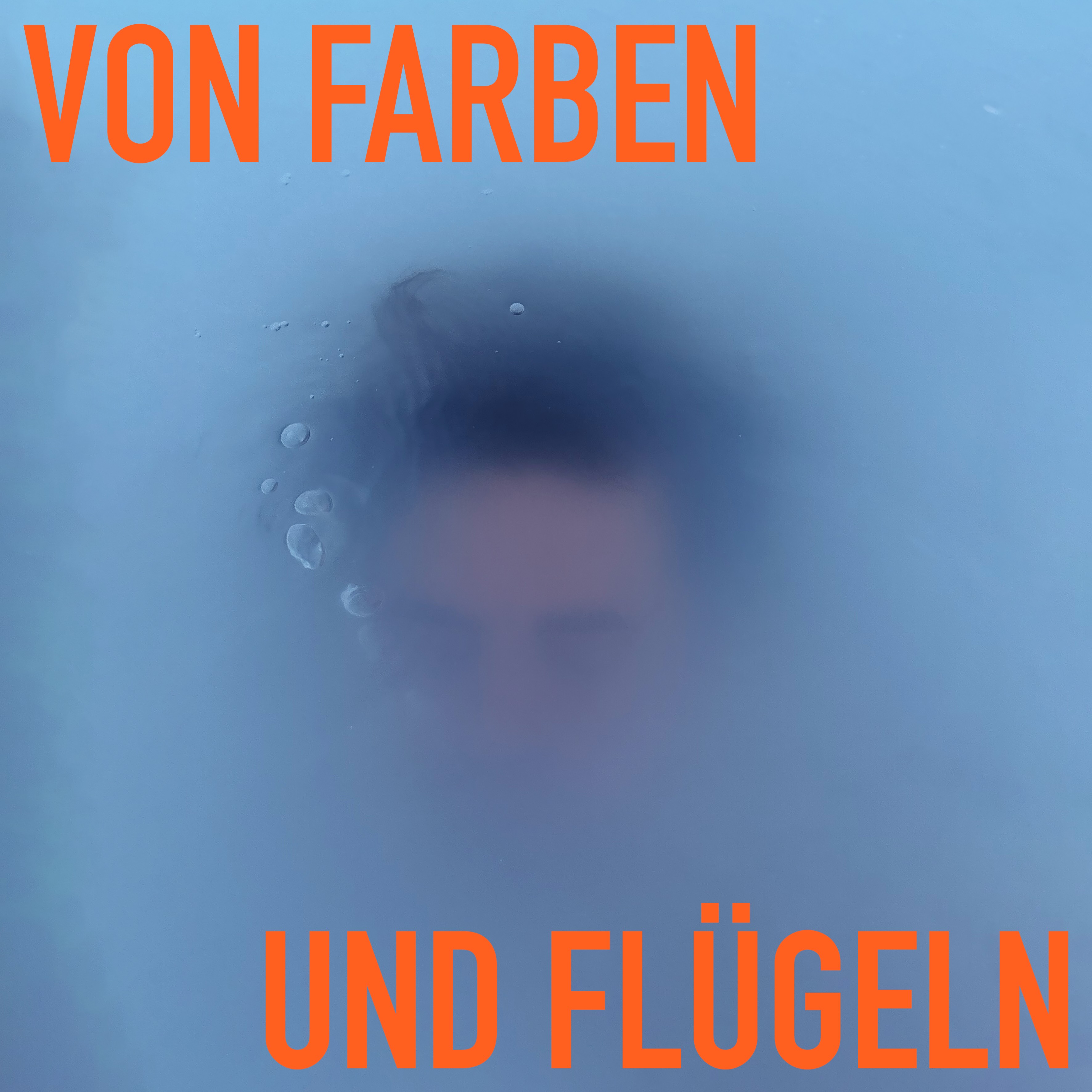 VON FARBEN UND FLÜGELN